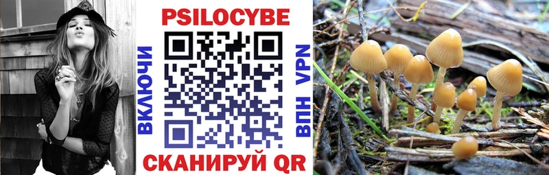 Галлюциногенные грибы Cubensis  Купить  Пугачёв 
